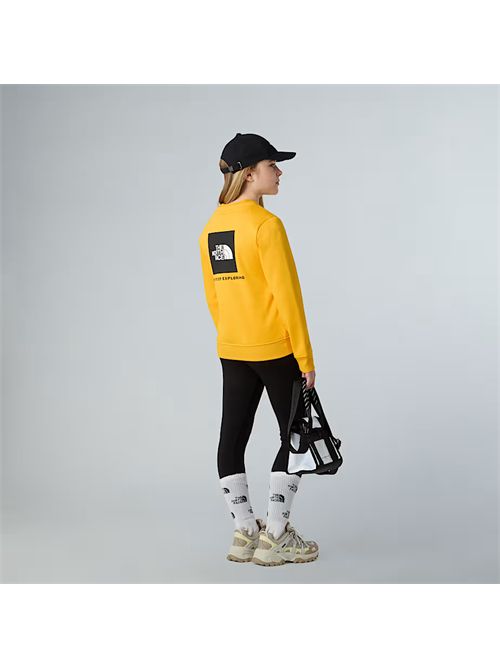 Felpa NSE Box da ragazzi THE NORTH FACE | NF0A89H7/56P1